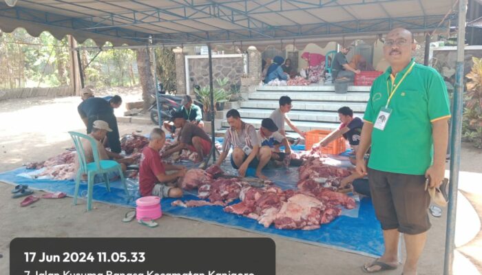 Pelaksanaan Kurban Masjid Besar Darussalam Kanigoro Sukses, Warga Dibikin Bahagia