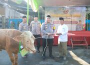 Hari Raya Idul Adha 1445 H, Polres Pelabuhan Tanjung Perak Salurkan 49 Hewan Korban.