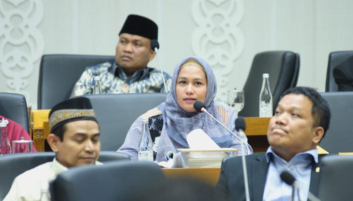 Karmila Harap BK DPR RI Bantu Baleg Pastikan Tidak Ada UU yang Tumpang Tindih