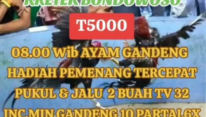 Judi 303 Omset Ratusan Juta Di Desa Kretek Bondowoso Tak Tersentuh Hukum