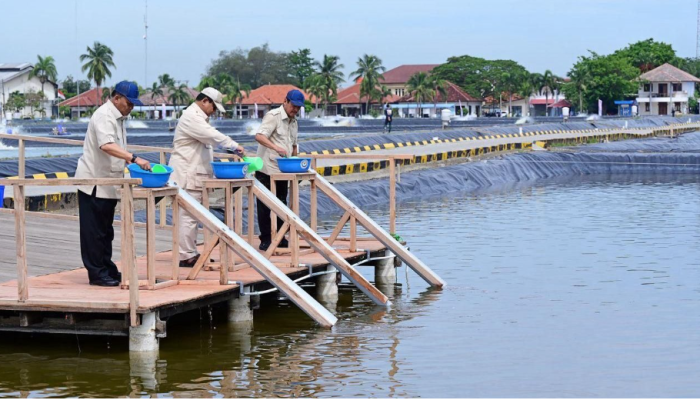 Presiden Prabowo Subianto Tinjau Kawasan BLUPPB Karawang, Dorong Swasembada Pangan dan Ekonomi Biru