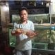 Sering Padam Listrik di Banyuates Sampang, Arowana Super Red Seharga 20 Juta Mati