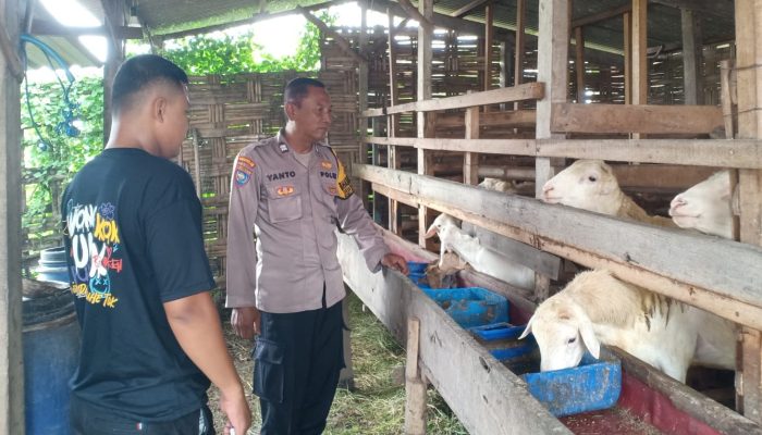 Bhabinkamtibmas Desa Medalem Polsek Tulangan Dampingi Pendataan Kendala Program P2B untuk Peternakan Kambing