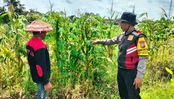 Anggota Polsek Balongbendo Tinjau Lahan P2B Warga Desa Jabaran