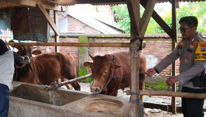 Kanit Binmas Polsek Krembung Silaturahmi Kamtibmas dan Koordinasi Ketahanan Pangan