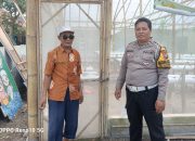 Polsek Sukodono Dukung Penuh Warga Tingkatkan Hasil Buah Melon Golden