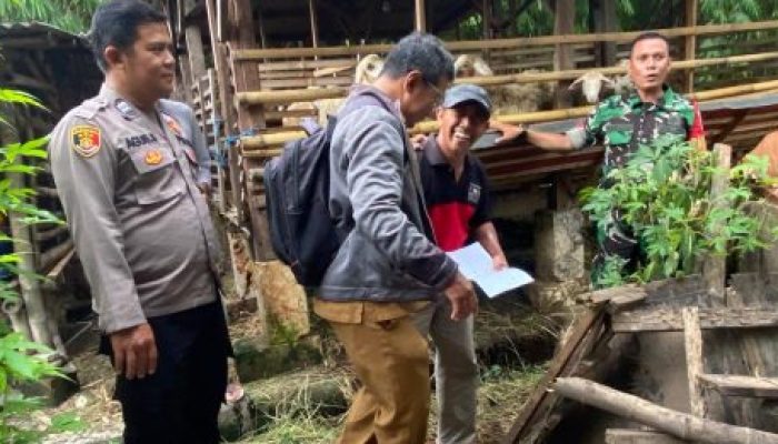 Menjelang Idul Adha, Tiga Pilar di Tulangan Sidoarjo Tinjau Kesehatan Hewan Kurban Perkuat Ketahanan Pangan
