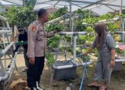 Swadaya Mandiri Warga Mutiara Citra Asri Kembangkan Kebun Hidroponik, Polisi Beri Apresiasi