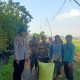 Optimalkan Ketahanan Pangan, Bhabinkamtibmas Cek Lahan P2B di Desa Semambung Jabon