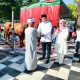 Polda Jatim Salurkan Ratusan Hewan Kurban di Hari Raya Idul Adha 1446 H