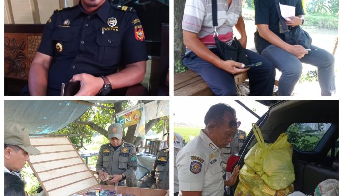Operasi Gabungan Satpol PP dan Petugas Bea Cukai Sidoarjo, Masih Banyak Penjual Rokok Illegal