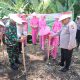 Dukung Swasembada Pangan, Polres Pasuruan Gelar Penanaman Jagung Serentak Kuartal IV di Desa Martopuro