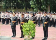 Tanda Kehormatan Satya Lencana Untuk Personel Pada Upacara HKN Di Sultra