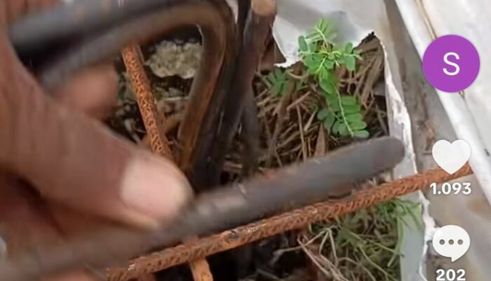 Gempar! Video Proyek Jalan Desa Kemiri Menjelaskan Pekerjaan Asal-Asalan