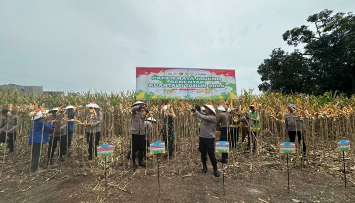 Polres Pasuruan Mengikuti Kegiatan Panen Jagung Kuartal I Tahun 2026 Di Pimpin Oleh Kapolri