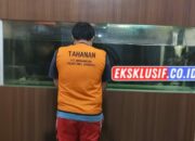 Pengedar Ganja Surabaya Diamankan, Satresnarkoba Polrestabes Surabaya Temukan Paket Siap Edar Di Dua Lokasi