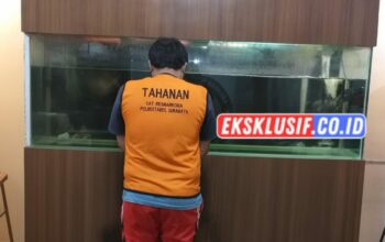 Pengedar Ganja Surabaya Diamankan, Satresnarkoba Polrestabes Surabaya Temukan Paket Siap Edar Di Dua Lokasi