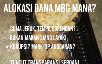 Miris! Paket MBG Sumberharjo Diduga Tidak Layak, Wali Murid: “Hanya Camilan, Bukan Makan Siang”