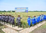 Puspenerbal Panen Raya Padi di Sedati, Dukung Asta Cita Presiden RI dan Program Ketahanan Pangan Nasional