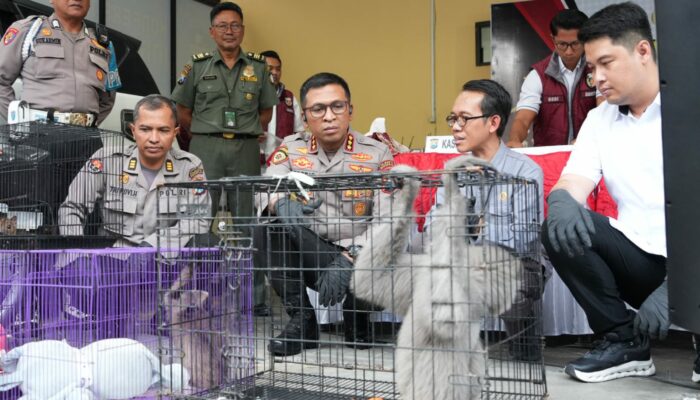 Polresta Sidoarjo Ungkap Perdagangan Ilegal Satwa Lindung Jaringan Internasional