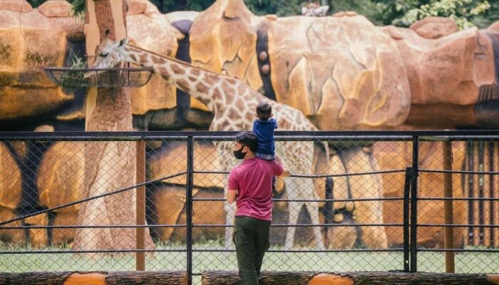 KBS Jadi Pilihan Libur Keluarga, 40 Ribu Pengunjung Datang Selama Libur Lebaran 2026