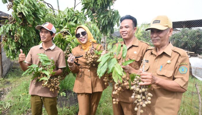 Wabup Sidoarjo Apresiasi Keberadaan Wisata Petik Buah Klengkeng