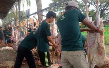 Semangat Gotong Royong Warnai Idul Adha 1447 H di Desa Becirongengor