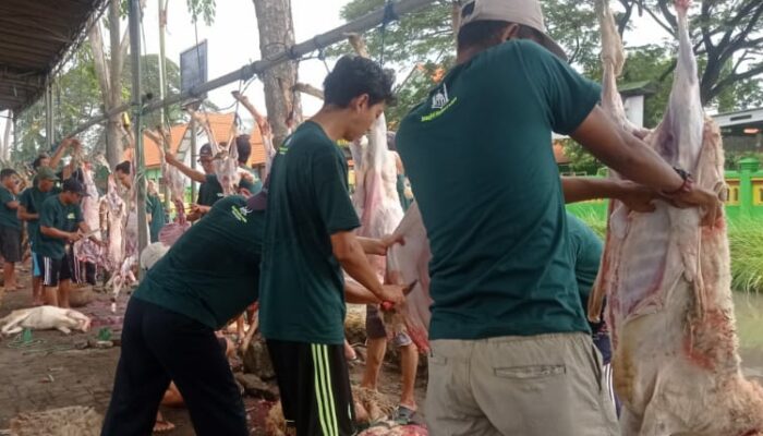Semangat Gotong Royong Warnai Idul Adha 1447 H di Desa Becirongengor