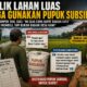Jeritan Petani Kecil di Tengah Dugaan Pemilik Lahan Luas Mengakses Pupuk Subsidi