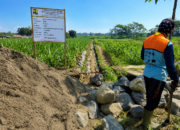 Dikelola Secara Swakelola, Proyek Irigasi P3-TGAI Senilai Rp195 Juta di Desa Tlogo Blitar Berjalan Mulus