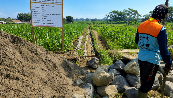 Dikelola Secara Swakelola, Proyek Irigasi P3-TGAI Senilai Rp195 Juta di Desa Tlogo Blitar Berjalan Mulus