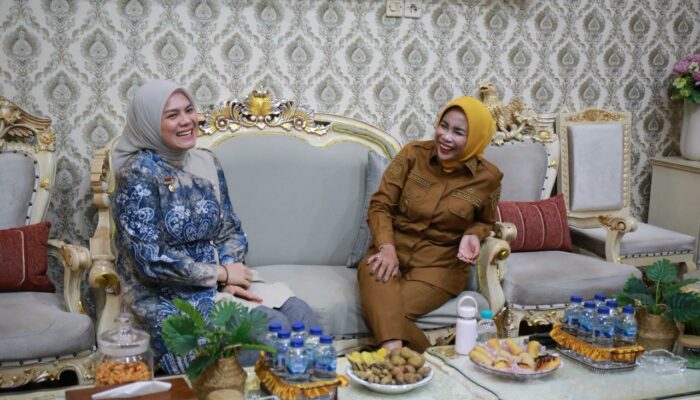 Terima Audiensi Wakil Walikota Banjarmasin, Wabup Mimik Bahas Optimalisasi Potensi Daerah dan Penguatan UMKM