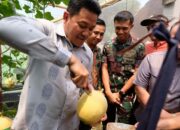 Bupati Subandi Resmikan Wisata Petik Melon BUMDes Candinegoro